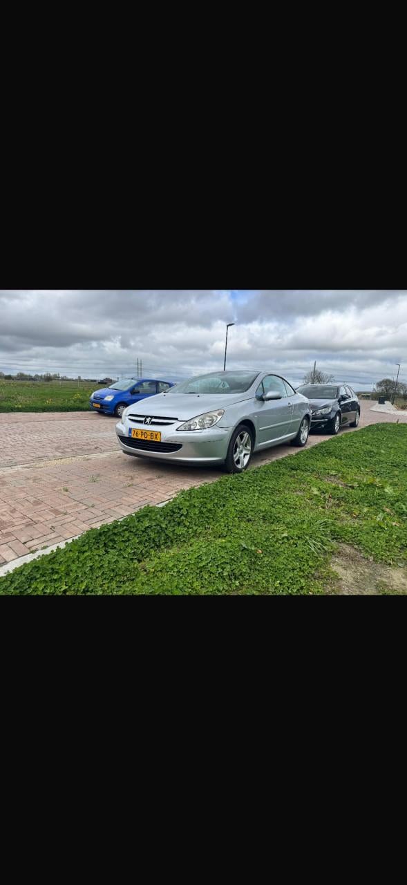 Peugeot 307 cc 2.0 leder apk tot 3-2027