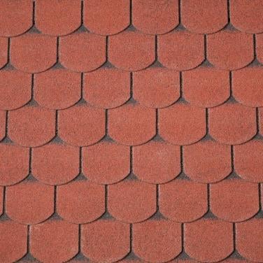 Dakshingles rood