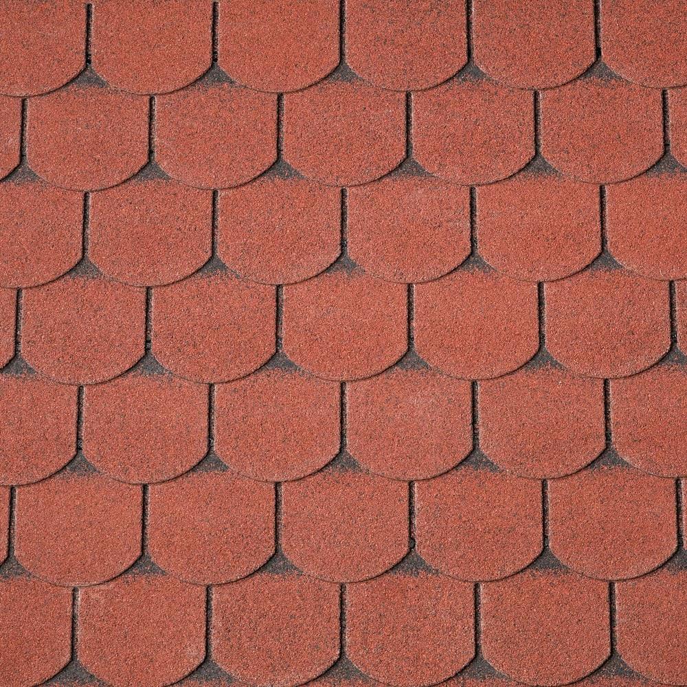 Dakshingles rood