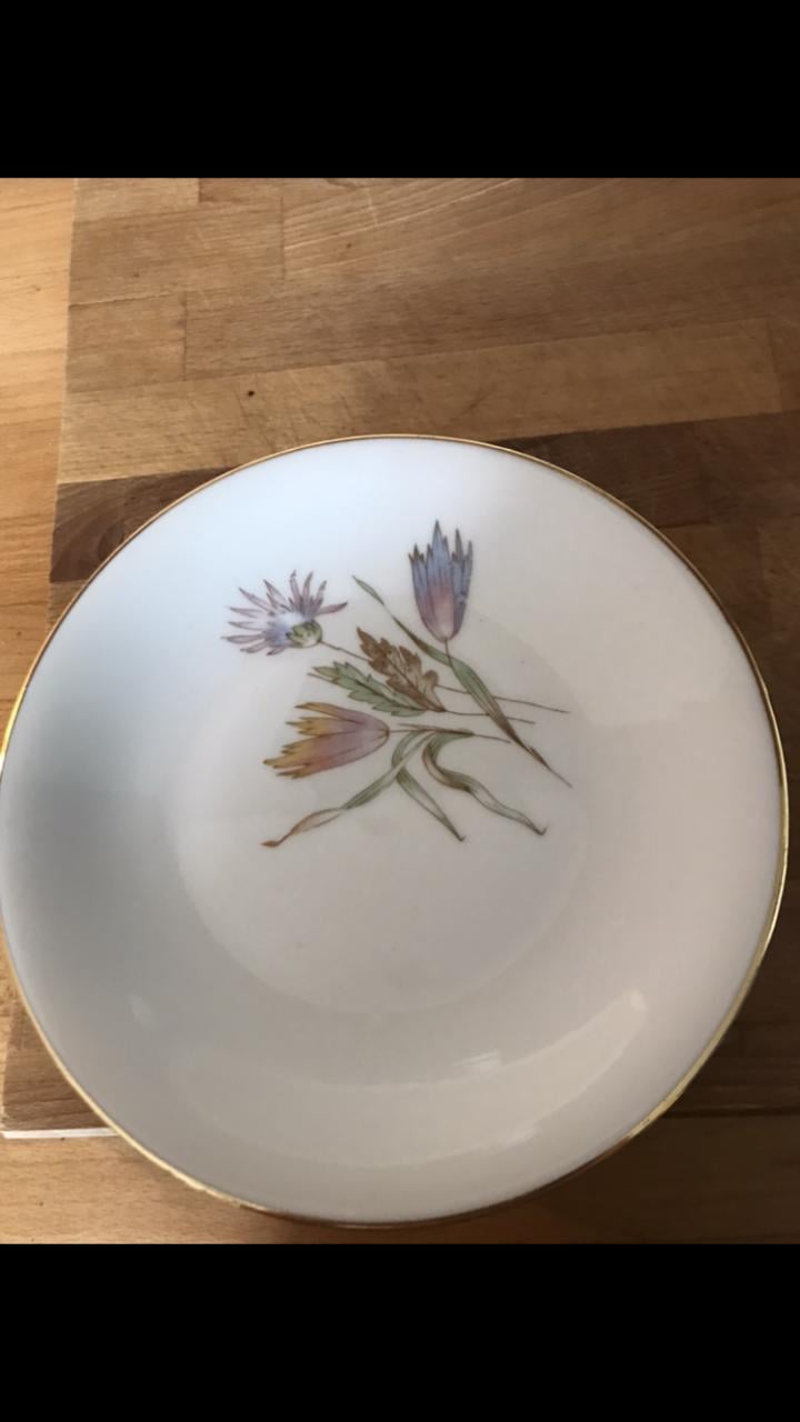 11 Franse gebakbordjes van Limoges