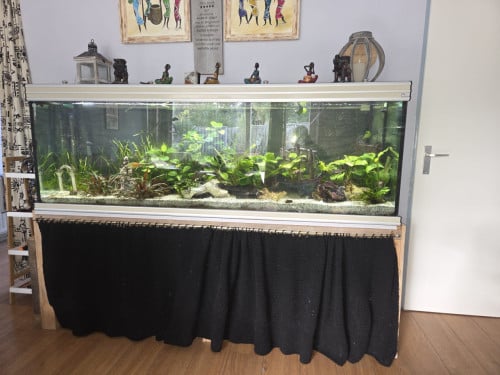 2 meter aquarium met vissen, inrichting en techniek