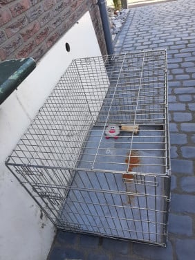 Te koop hondenbench XXL
