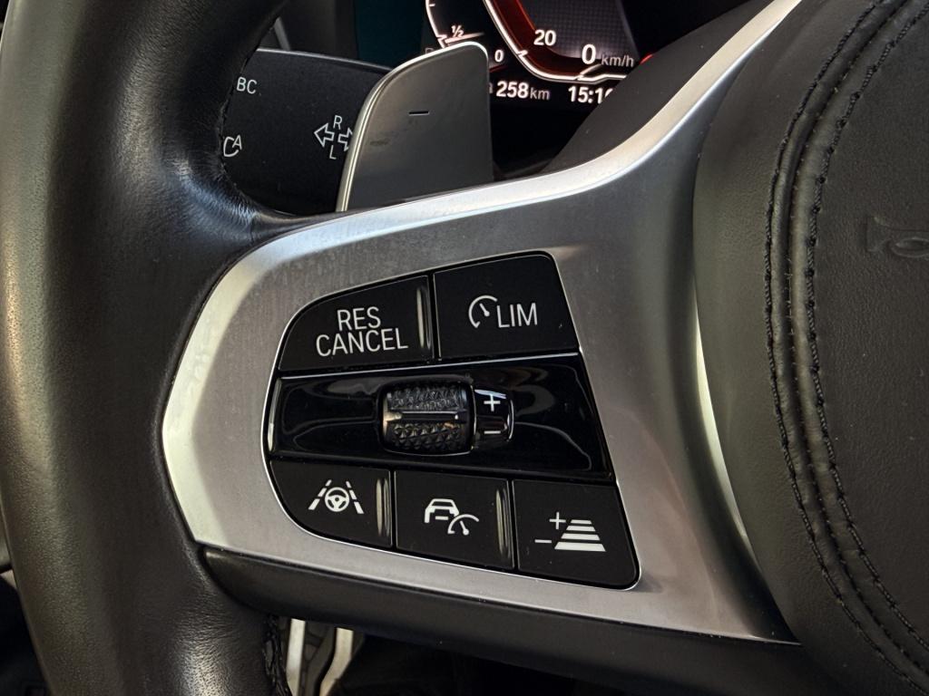 BMW X3 xdrive30e m-sport high executive | pano | achteruitrijcamera | elek.