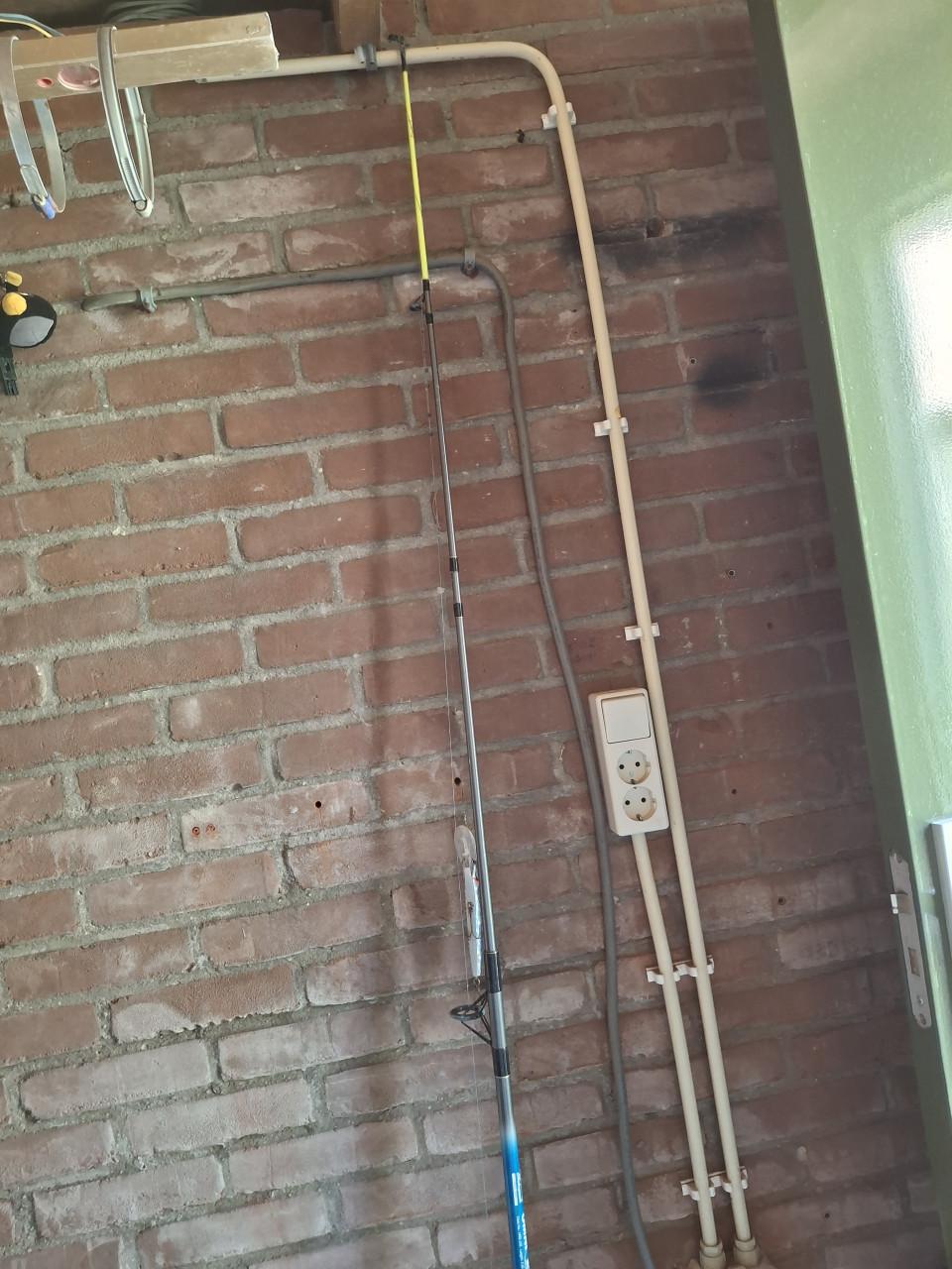 Vishengels