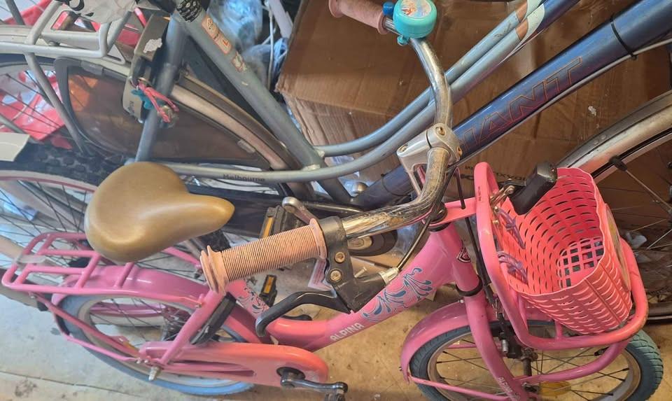 Alpina kinderfiets 18 inch