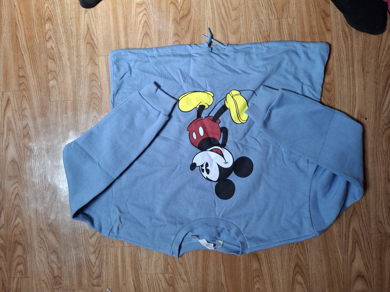 Originele Disney kleding