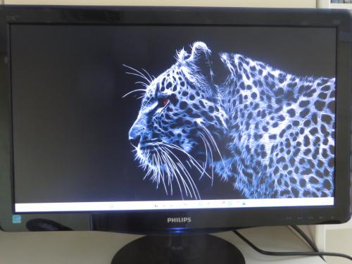 22 inch HD computer monitor