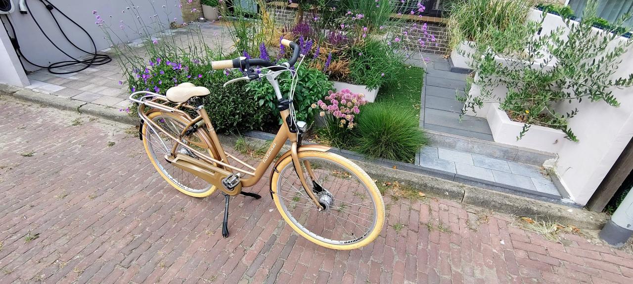 Dames fiets Batavus Mambo deluxe 28 inch