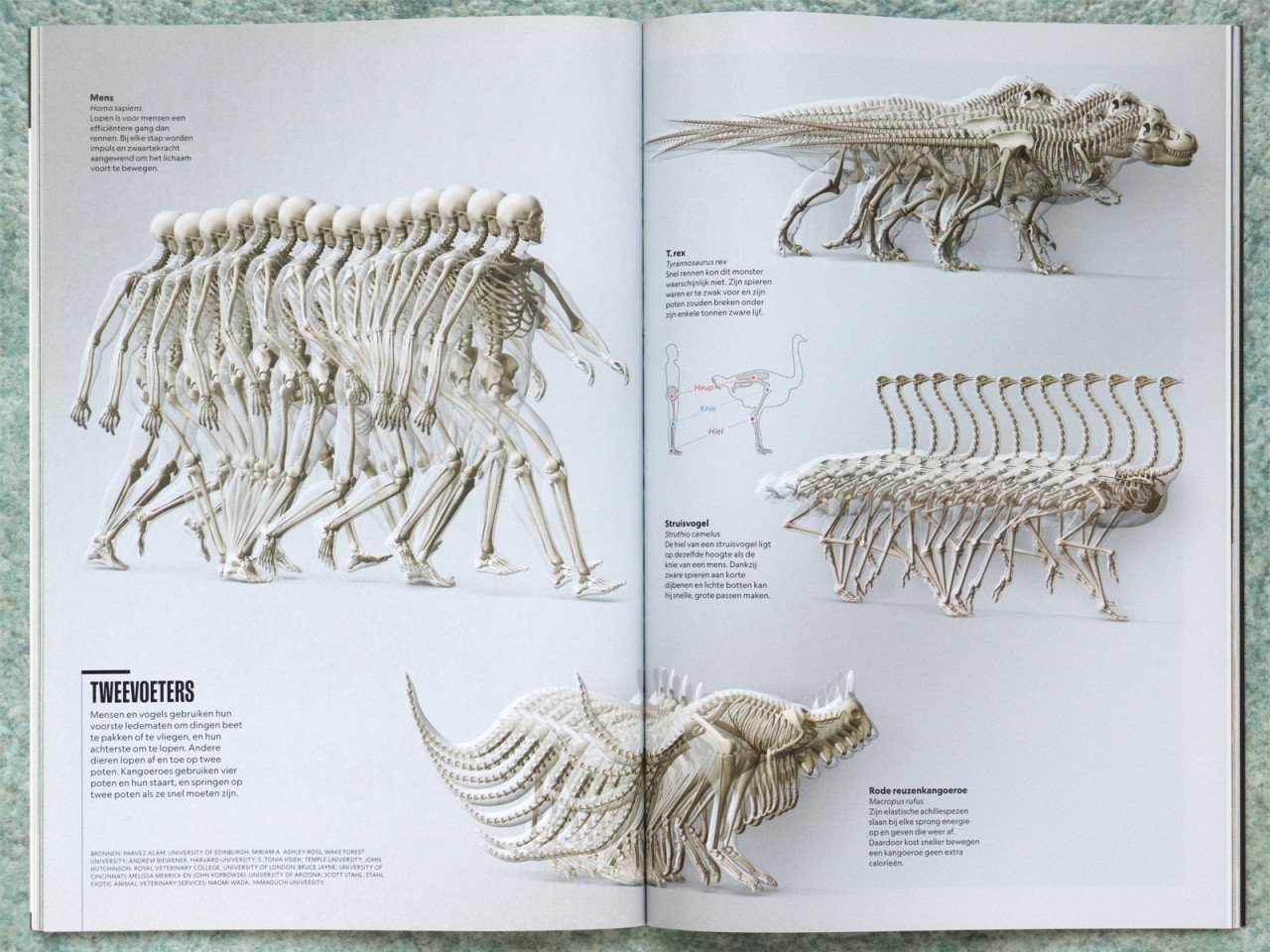Jaargangen National Geographic 2012-2021