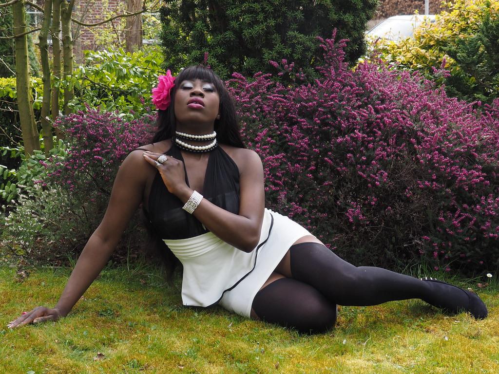 Website Designer Aangeboden