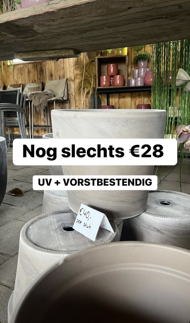 GOEDKOPE BUITEN+ BINNEN POTTEN
