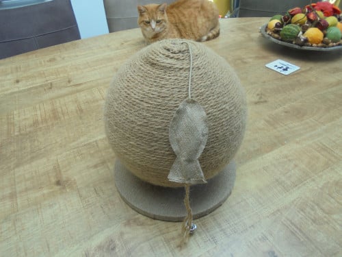 Kattenkrabbol en speeltunneltje