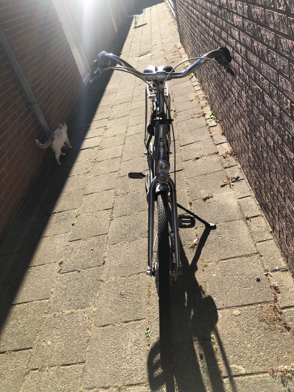 Herenfiets.