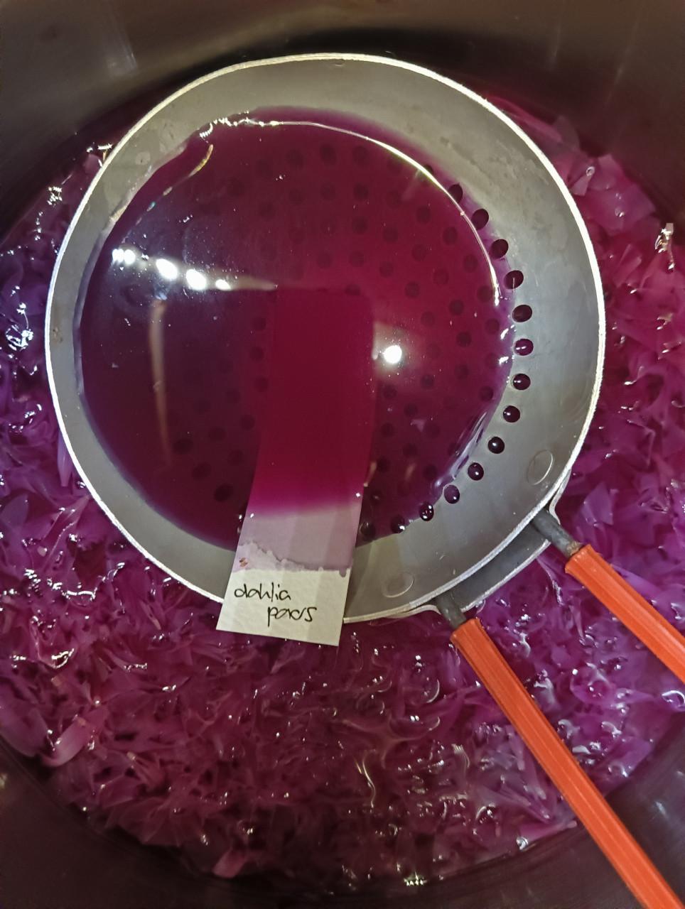 Wildplukwinterwandeling