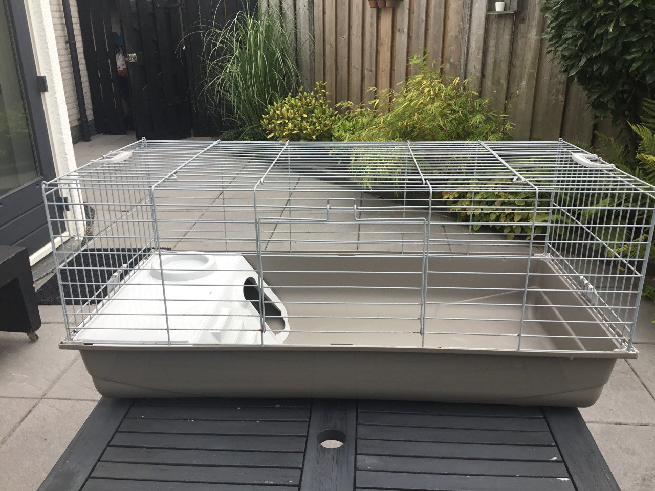 CAVIA-KONIJNENKOOI