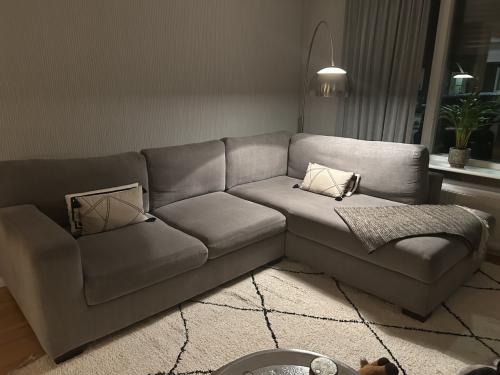 Izgst grijzige Hoekbank