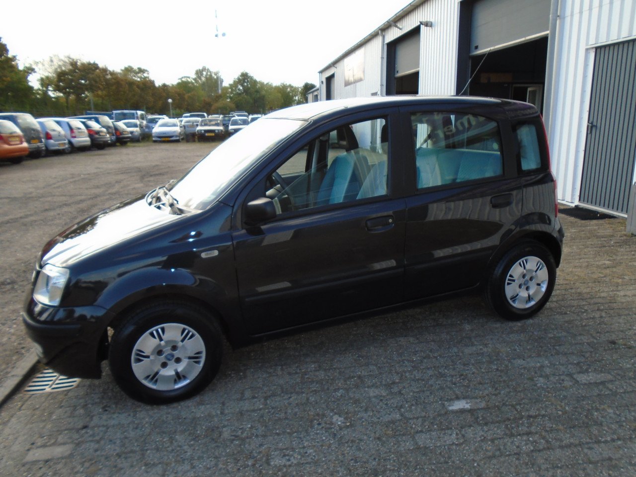 Fiat Panda 1.2 Dynnamic