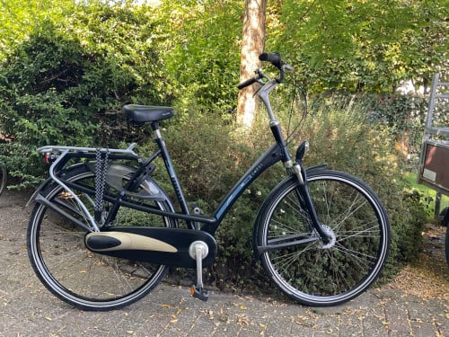 Batavus Mambo