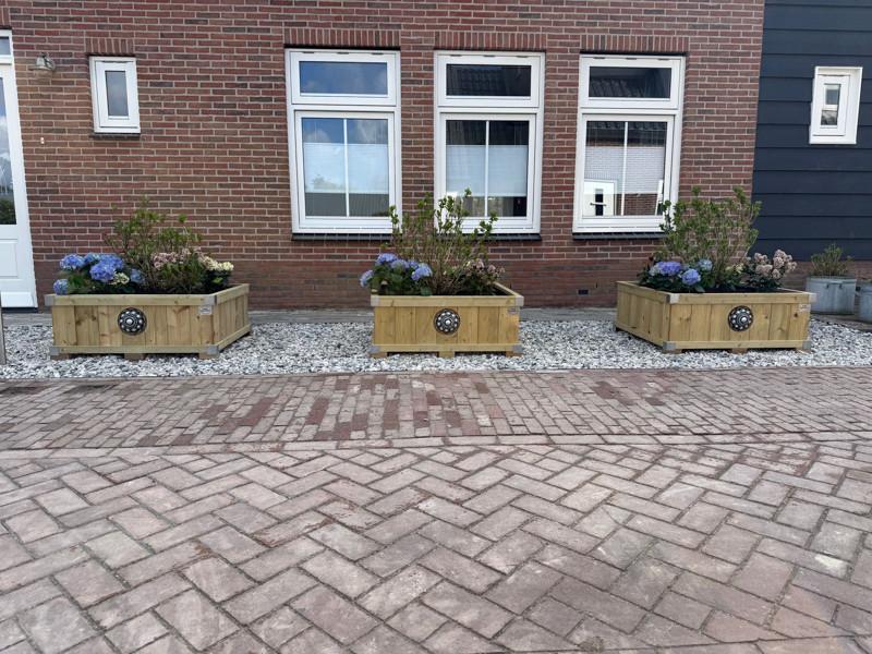 Zeeuwse knop bloembakken projecten ter inspiraties L100 x B100 x H40