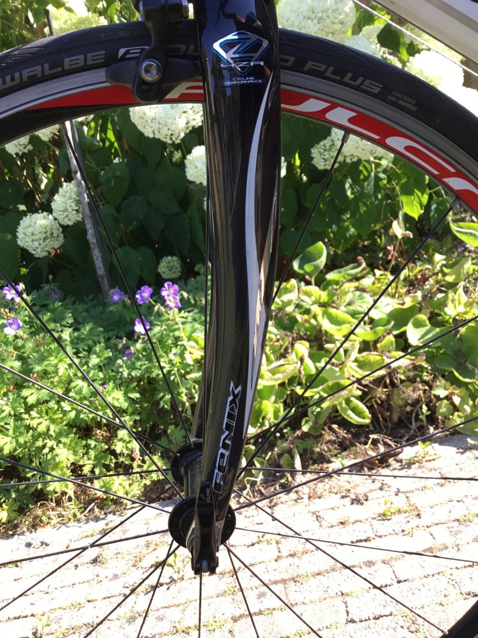 Ridley tritonS