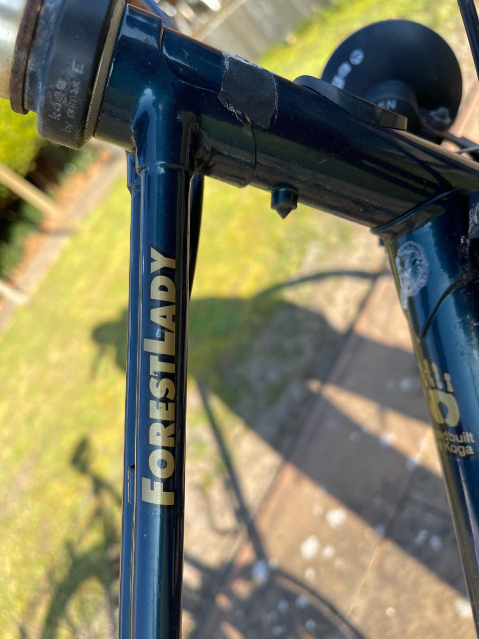 Damesfiets koga myata met rokkenzadel