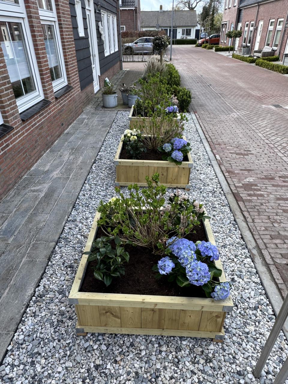 Zeeuwse knop bloembakken