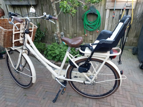 Elektrische moederfiets