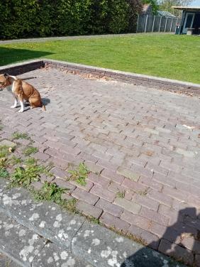 14 m2 hardgebakken straatklinkers