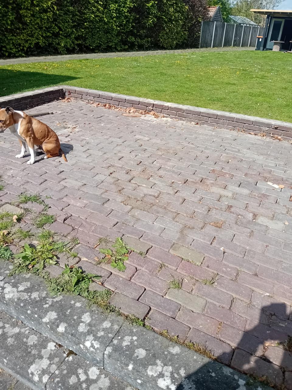 14 m2 hardgebakken straatklinkers