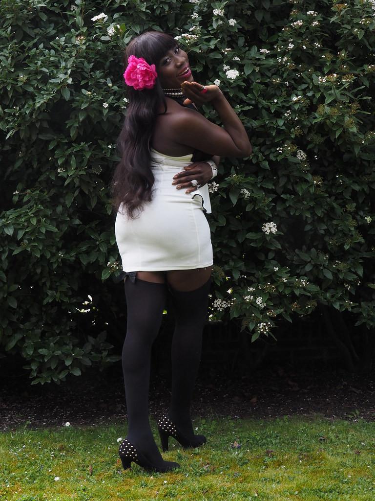 Website Designer Aangeboden