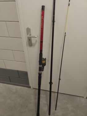 Zeehengel + molen 4.20