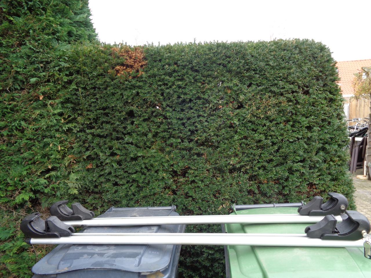 Dakdragers voor rail