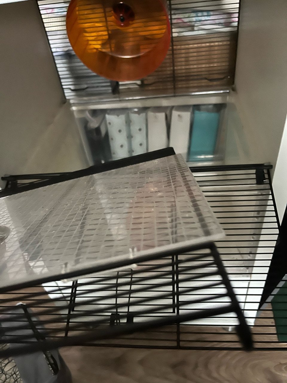 Praktische en gave (dwerg) hamsterkooi