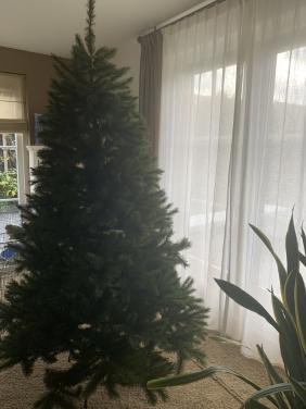 Kerstboom2.30 m hoog  Triumph tree