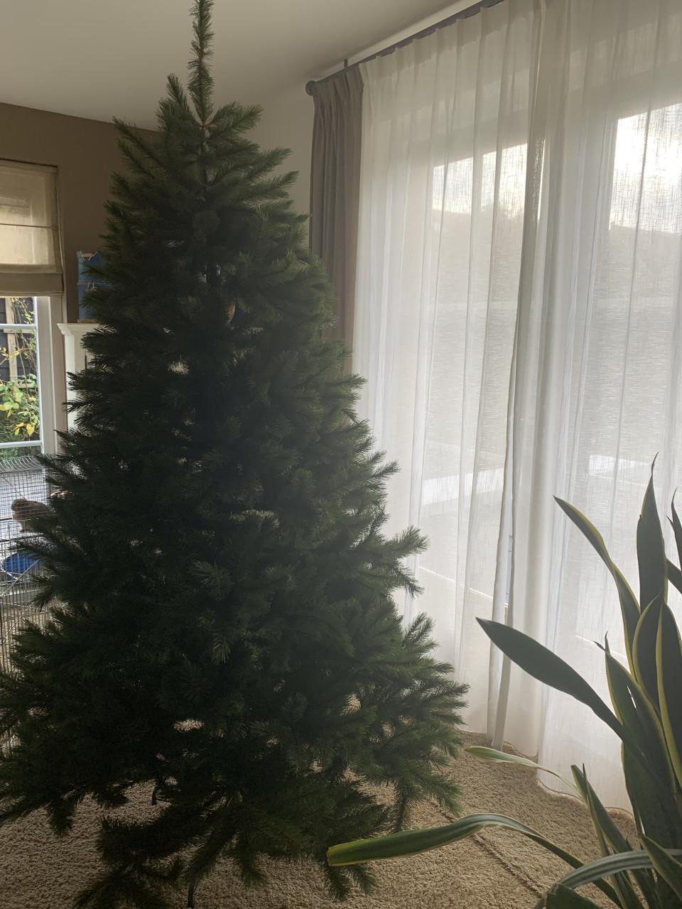 Kerstboom2.30 m hoog  Triumph tree