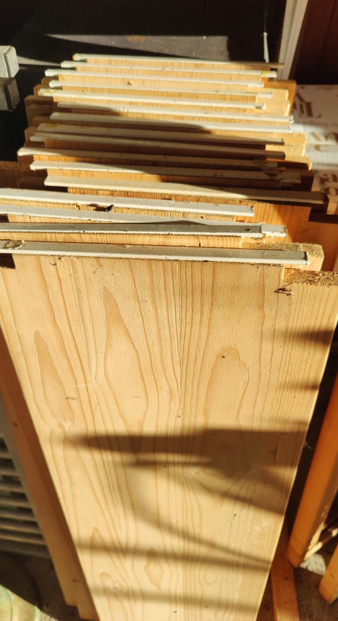 Lundia, grenen stelling