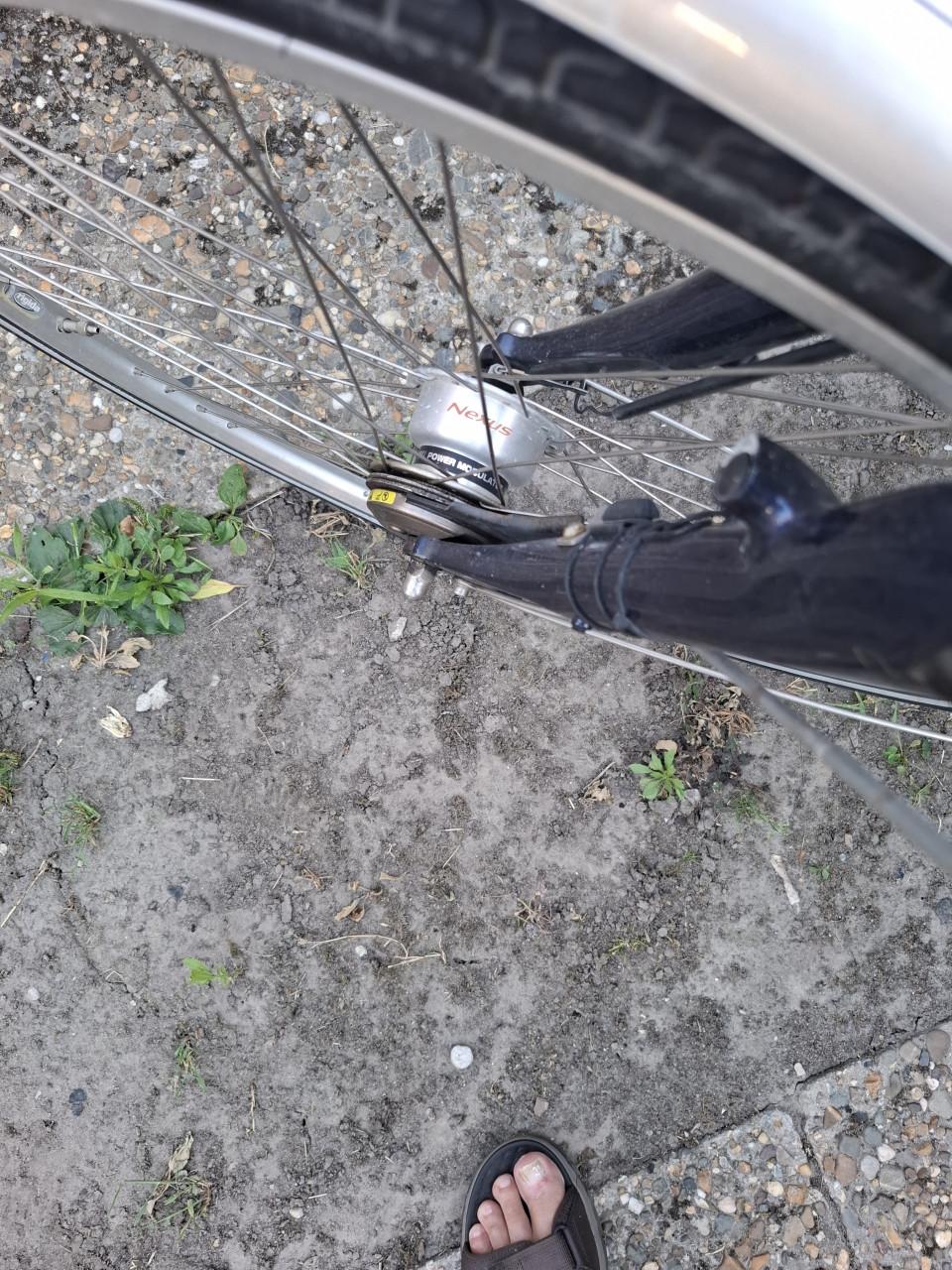 Batavus Pandora GLX.