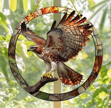 Raamhanger buizerd ( extra doorschijnend )
