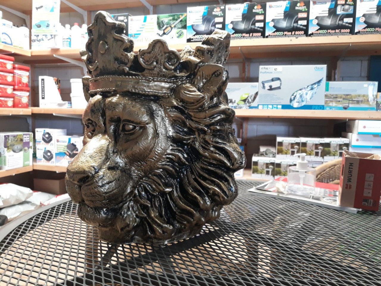 Bloempot Leeuwenkop Goud groot compleet afhalen