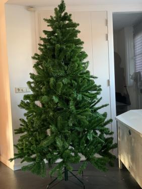 Kerstboom. 2.10 hoog