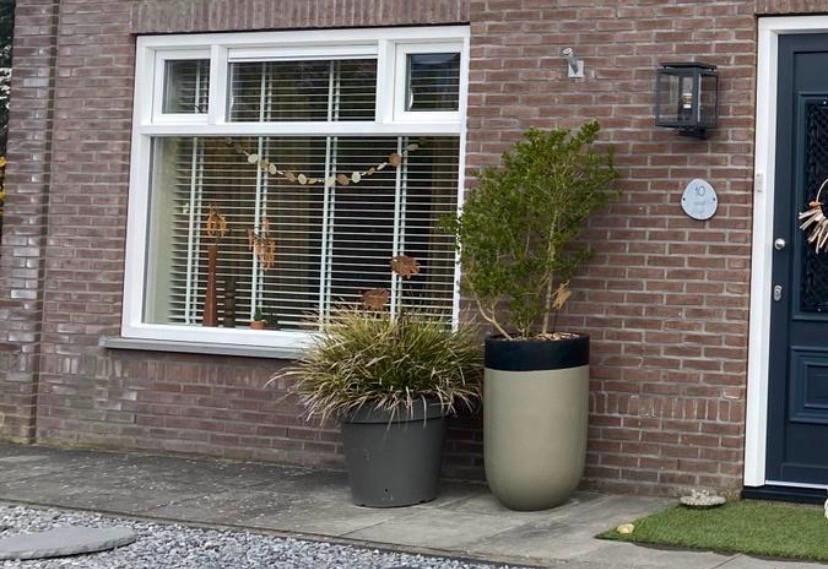 Zwaar JALOEZIE —> Wit