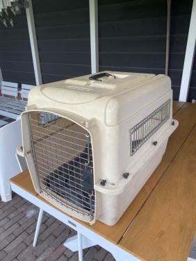 Transport honden bench