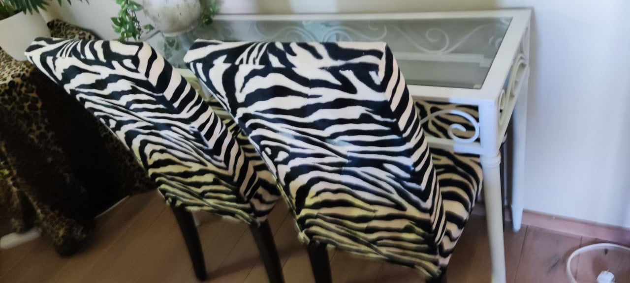 2 Super leuke jungle Zebra stoelen z.g.a.n