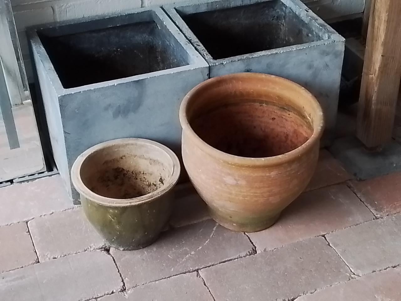 Gratis plantenpotten.