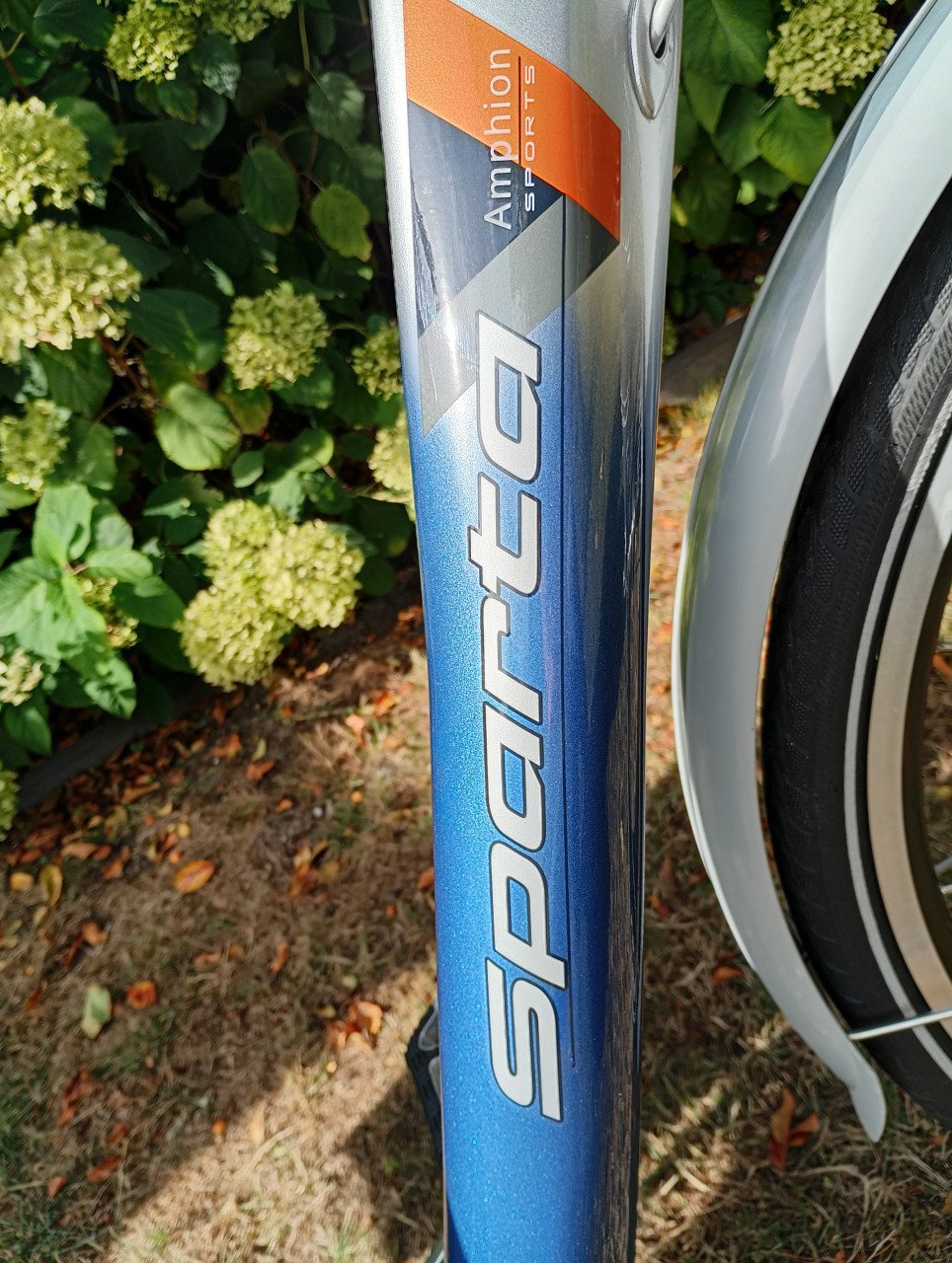 Sparta damesfiets Amphion sport,28 inch.