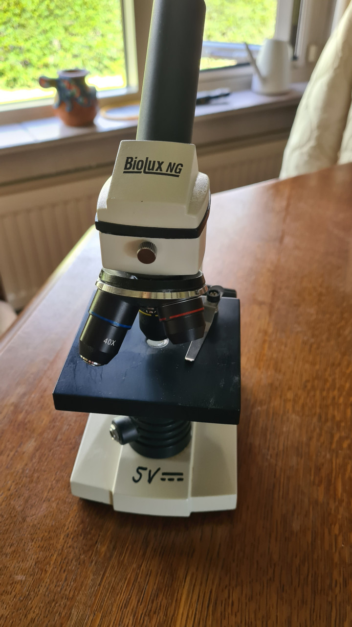 Microscoop Biolux NG