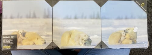 Decoratie foto canvas ijsberen National Geographic