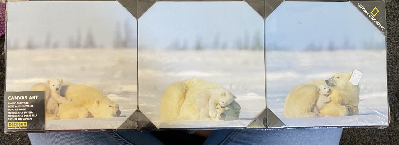 Decoratie foto canvas ijsberen National Geographic