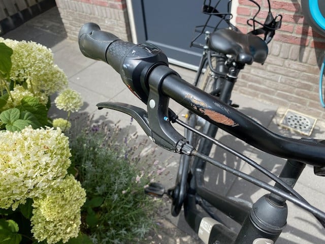 Damesfiets Gazelle Esprit