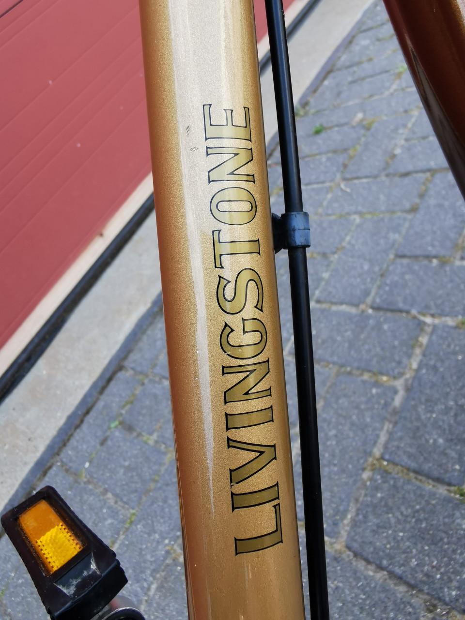 LIVINGSTONE JAREN 70 DAMESFIETS